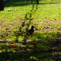 DSC04183.JPG