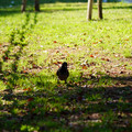 DSC04185.JPG