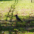 DSC04187.JPG