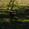 DSC04188.JPG
