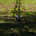 DSC04190.JPG