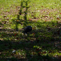DSC04191.JPG
