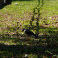 DSC04192.JPG