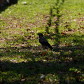 DSC04193.JPG