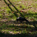 DSC04194.JPG