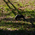 DSC04195.JPG