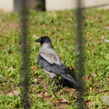 DSC04196.JPG