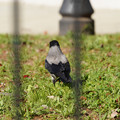 DSC04198.JPG