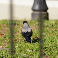 DSC04199.JPG