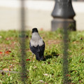 DSC04200.JPG