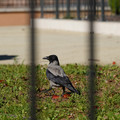 DSC04201.JPG