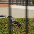 DSC04202.JPG