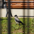 DSC04204.JPG