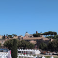 IMG_20260501_102636_254.jpg
