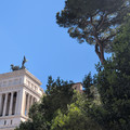 IMG_20260501_110117_716.jpg