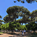 IMG_20260501_132024_511.jpg