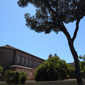 IMG_20260501_132415_833.jpg