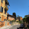 IMG_20260501_141649_450.jpg