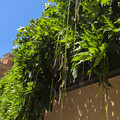 IMG_20260501_141750_436.jpg