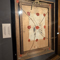 IMG_20260502_110819_584.jpg