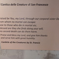 IMG_20260502_112056_332.jpg