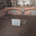 IMG_20260502_112251_424.jpg