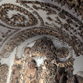 IMG_20260502_112847_030.jpg